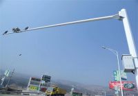 周振宇：努力打造全省領(lǐng)先、國內(nèi)一流的新型智慧城市示范城市